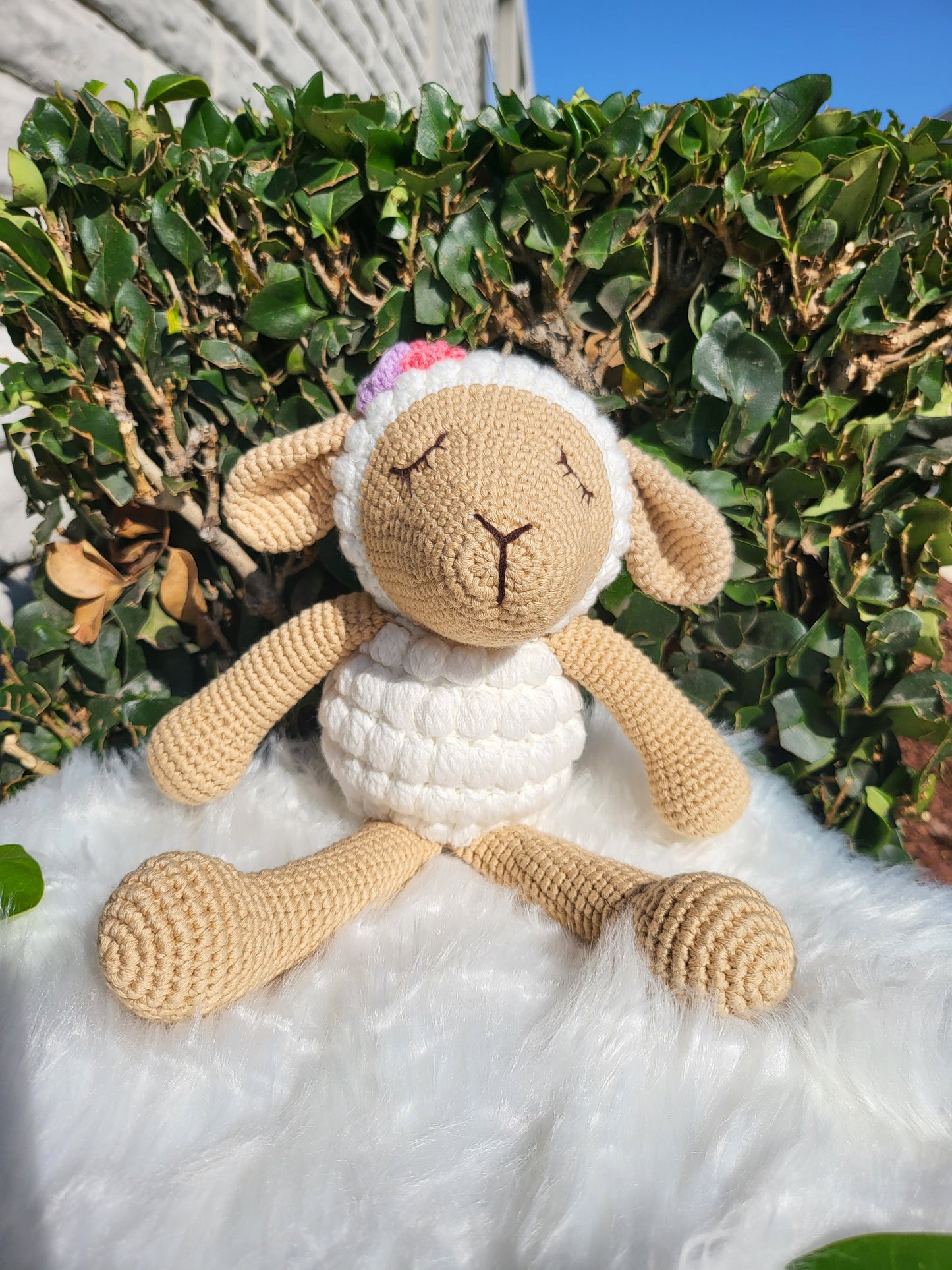 Medium Sitting Sheep