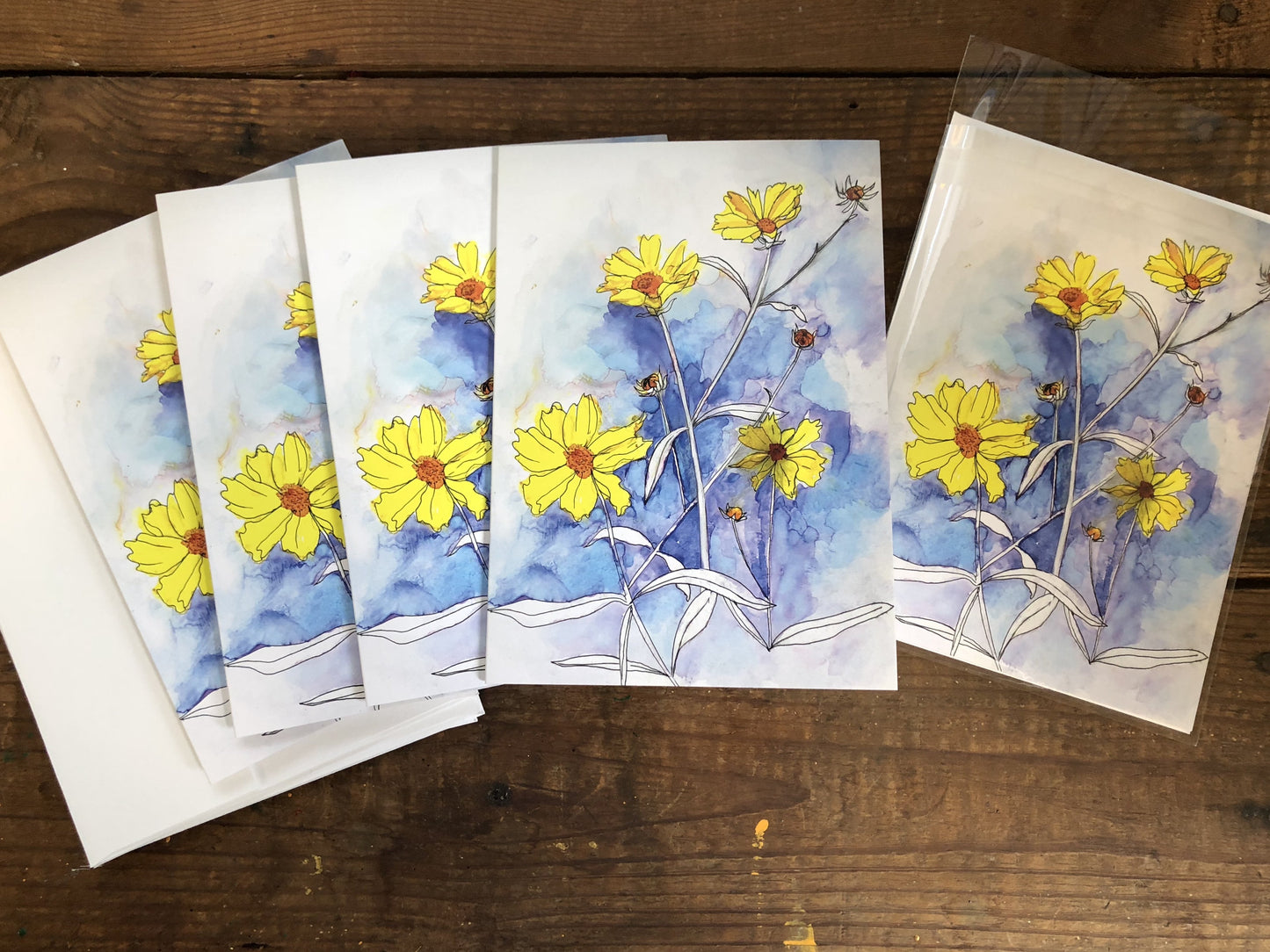 Box Set of 6 Greeting Cards: Cards, Thistles, Daylily, Rose, Magnolia,