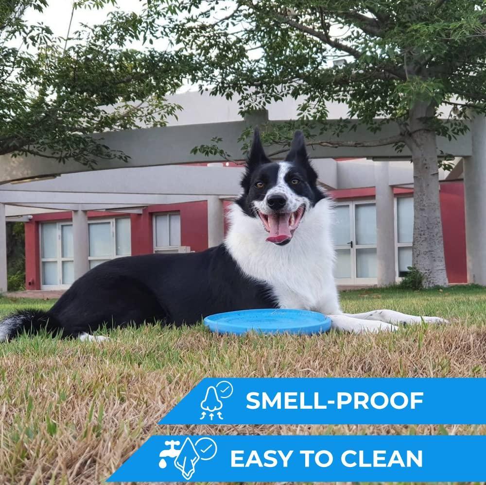 Dog Frisbee Toy Safe for Teeth Outdoor Floating Flying Disk for
