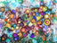 Field of Flowers: Greeting Card