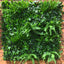 Artificial Instant Green Wall Hedge Panel Mixed Plants 100cm X 100cm