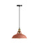 Ceiling Lampshade Vintage Industrial Retro Loft Metal Hanging~3147