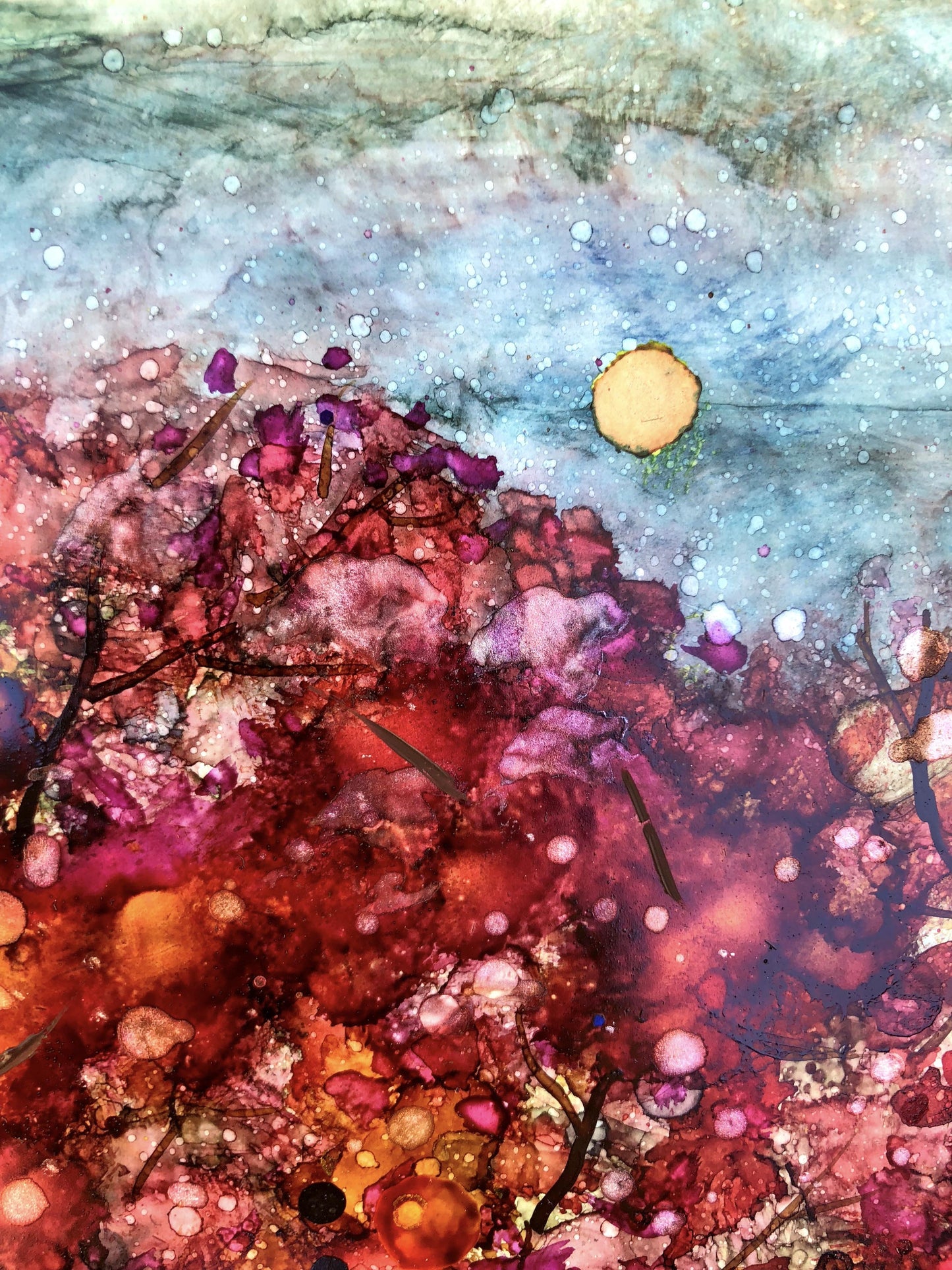 Spring Forest : Prints