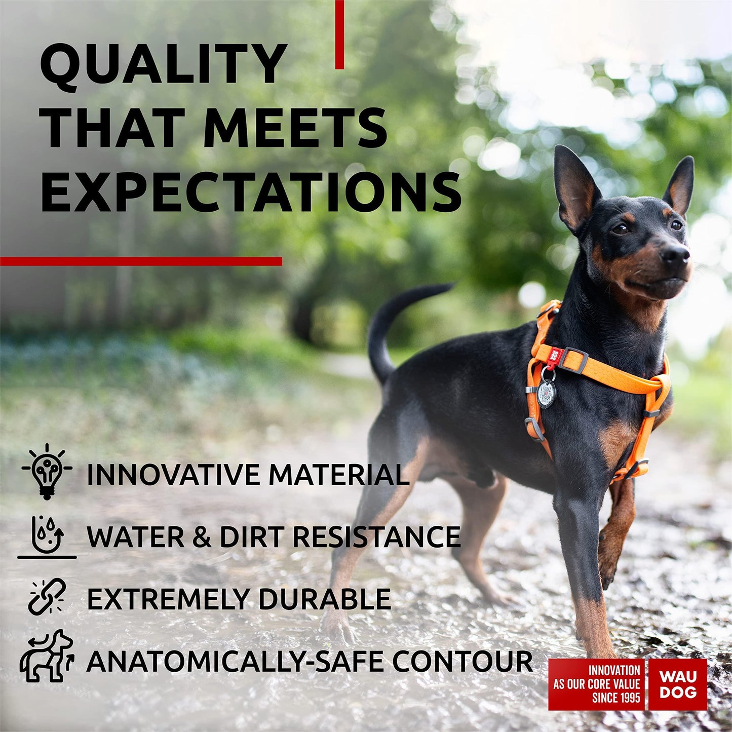WAUDOG Waterproof Dog Harness Adjustable Dog Harness for Large Dogs