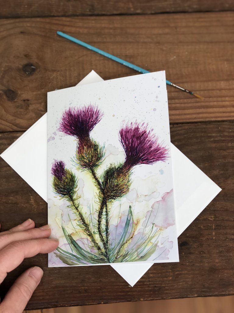 Box Set of 6 Greeting Cards: Cards, Thistles, Daylily, Rose, Magnolia,