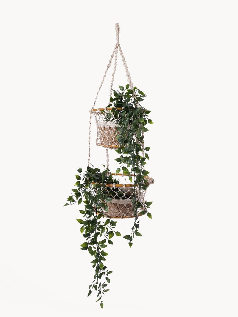 Jhuri Double Hanging Basket Main image