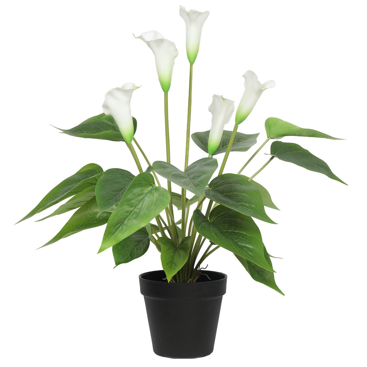 Artificial Flowering White Peace Lily / Calla Lily Plant 50cm Main image