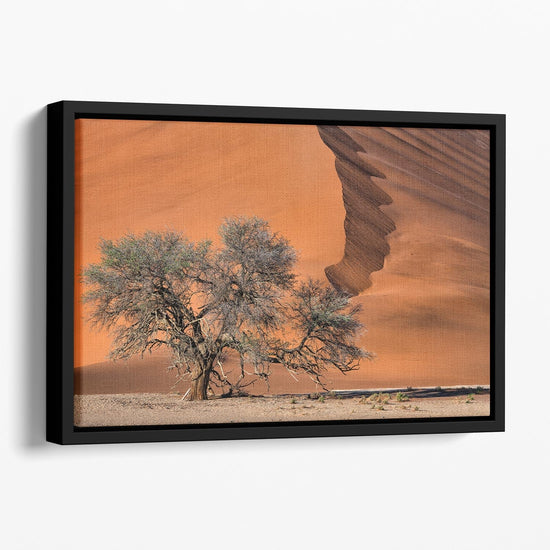 Acacia In The Desert Floating Framed Canvas