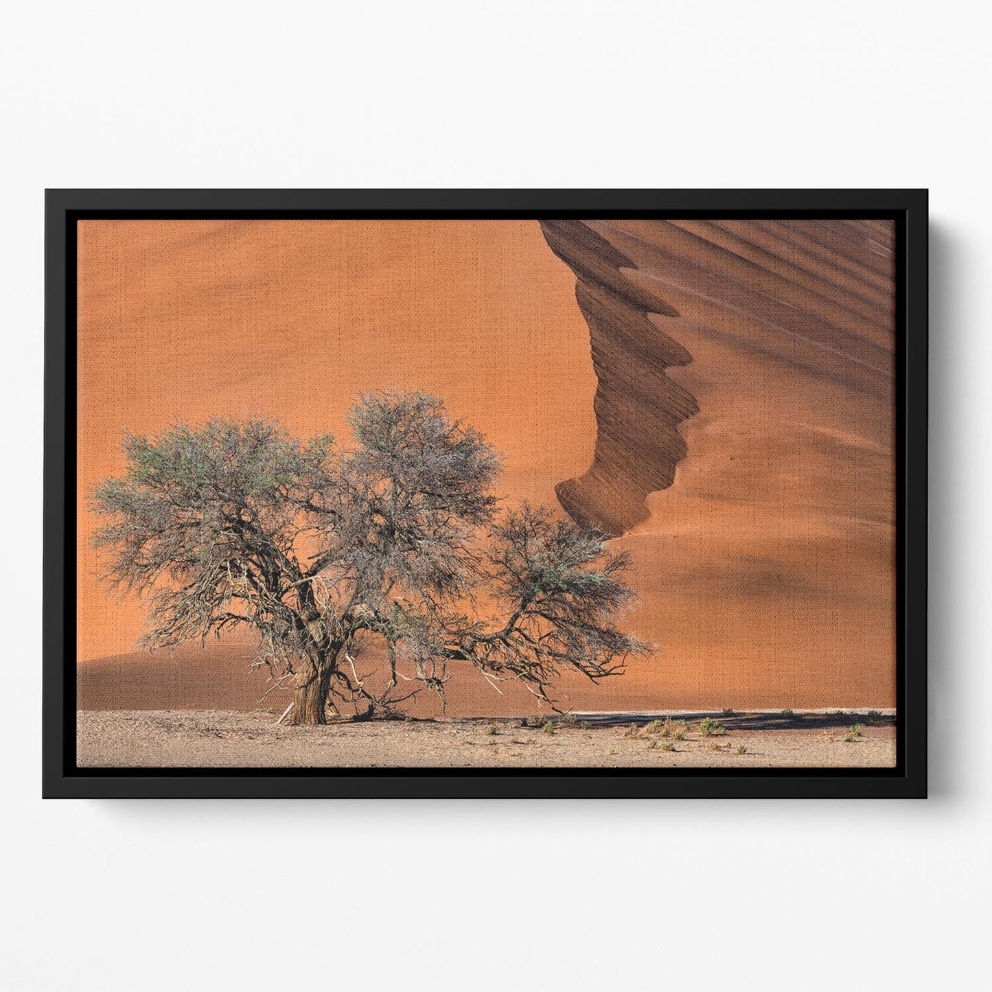 Acacia In The Desert Floating Framed Canvas