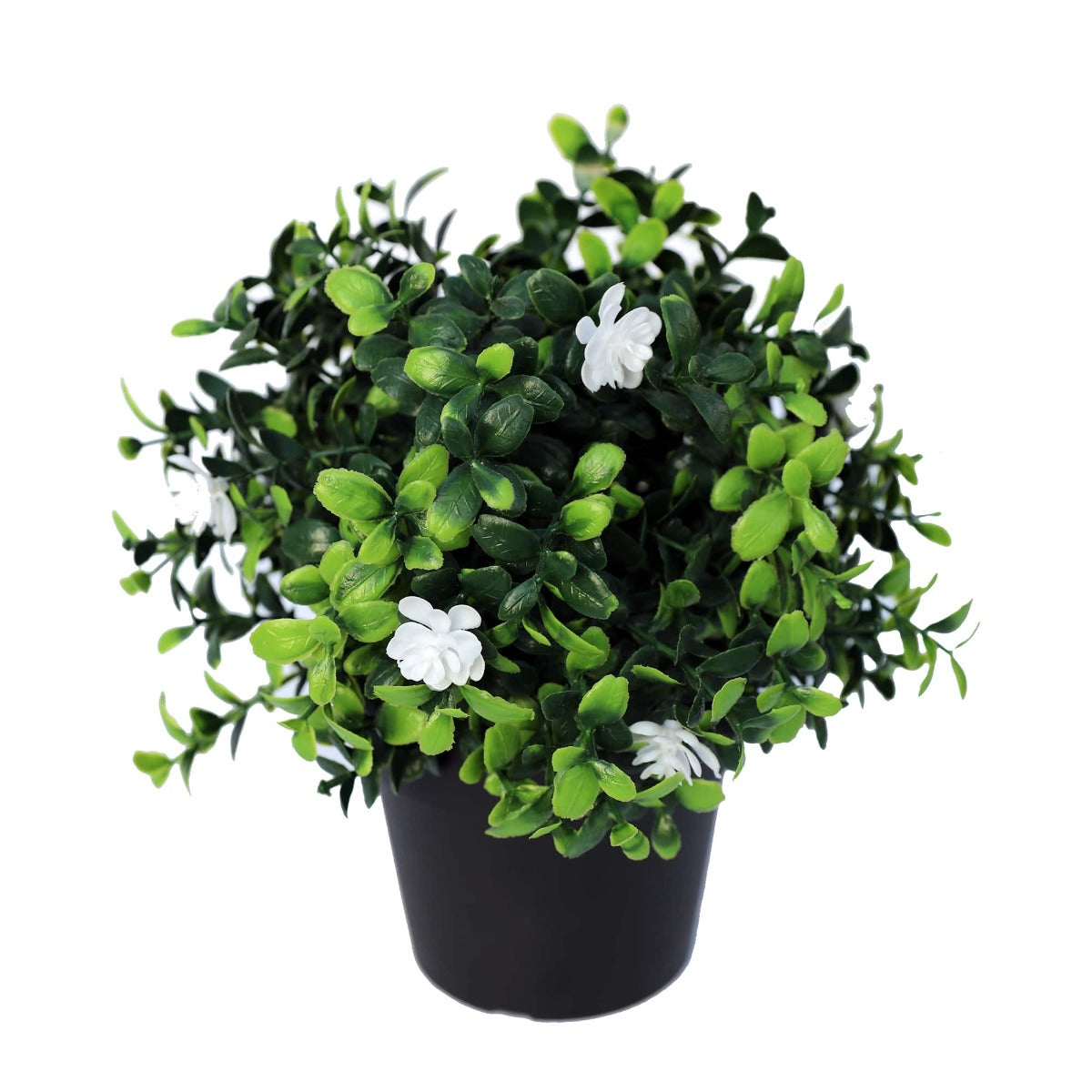 Small Potted Artificial Flowering Boxwood Plant UV Resistant 20cm Secondary image