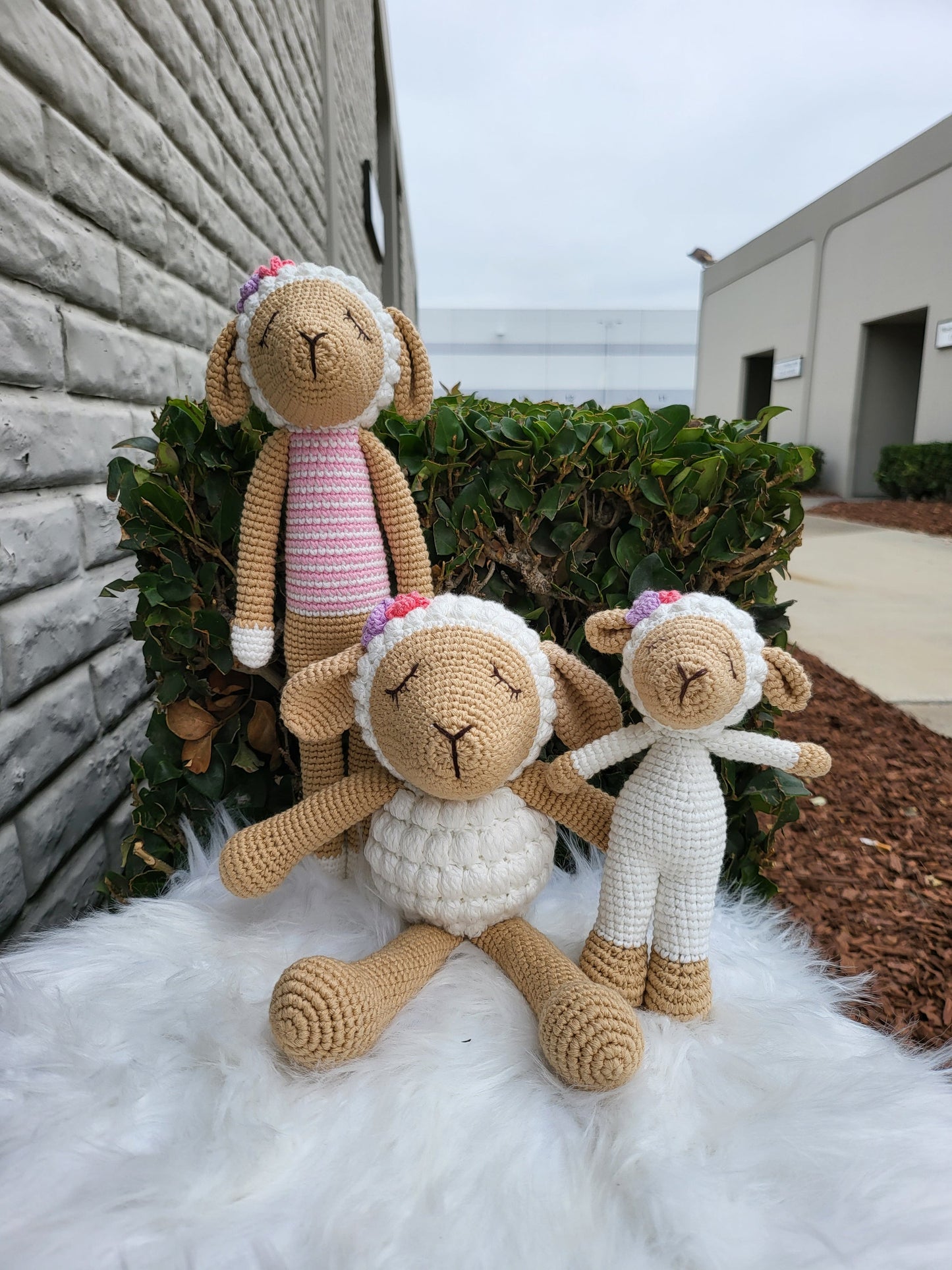 Medium Sitting Sheep