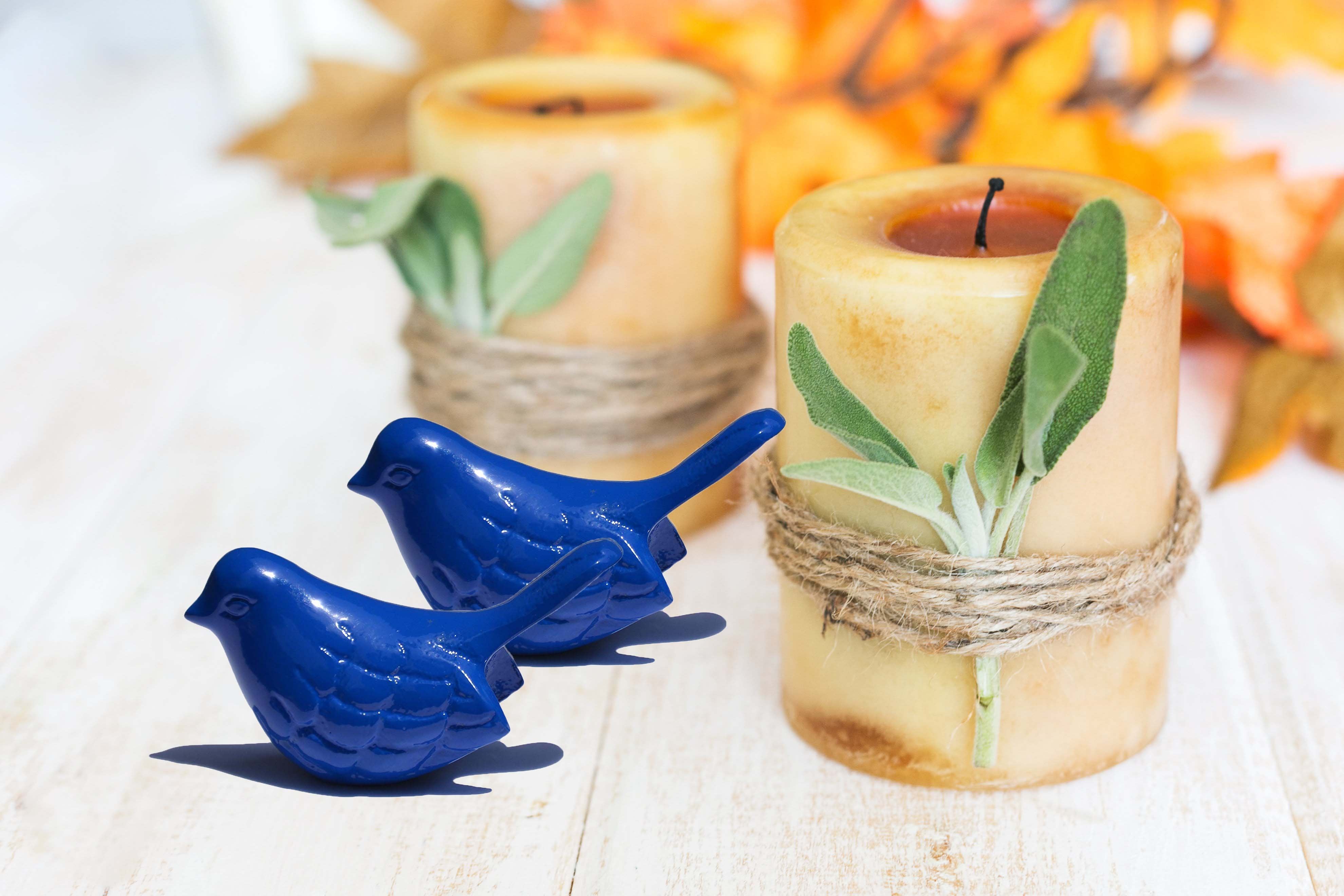 Vibhsa Bluebird of Happiness Home Decor Accents Set of 2 Main image