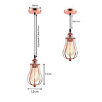 Ceiling Rose Balloon Cage Hanging Pendant Lamp Holder Light Fitting