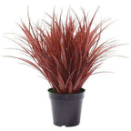 Potted Artificial Grass Burgundy Plant UV Resistant 38cm