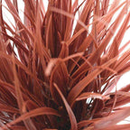Potted Artificial Grass Burgundy Plant UV Resistant 38cm