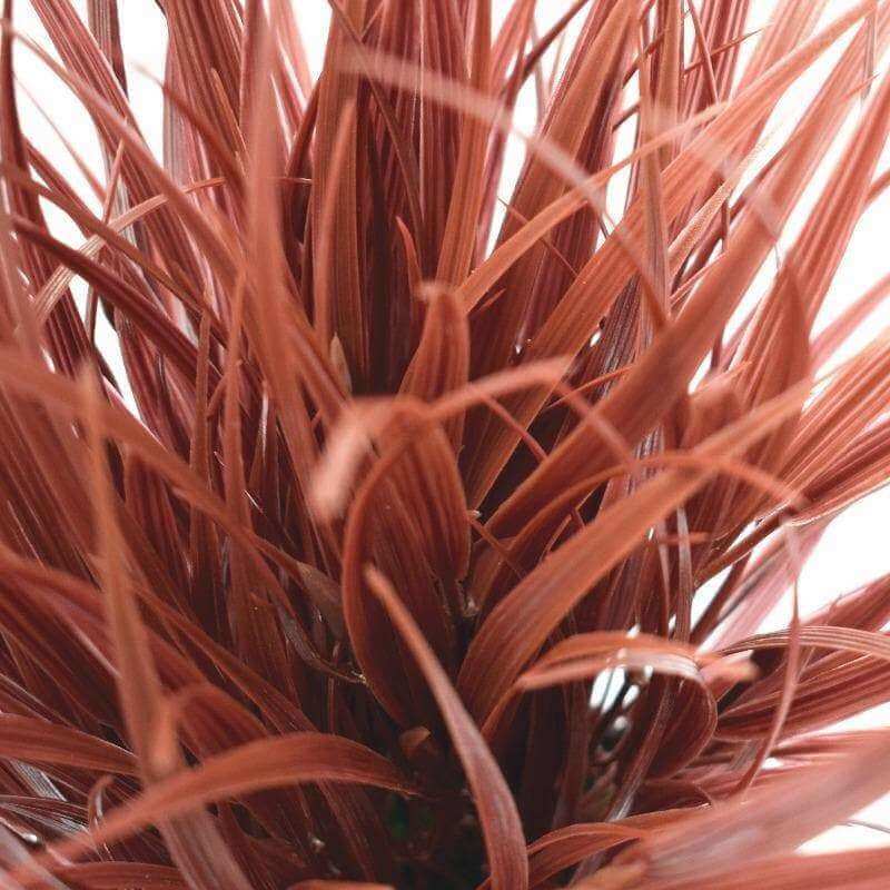 Potted Artificial Grass Burgundy Plant UV Resistant 38cm