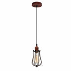 Ceiling Rose Balloon Cage Hanging Pendant Lamp Holder Light Fitting