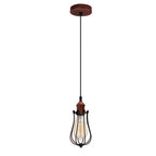 Ceiling Rose Balloon Cage Hanging Pendant Lamp Holder Light Fitting