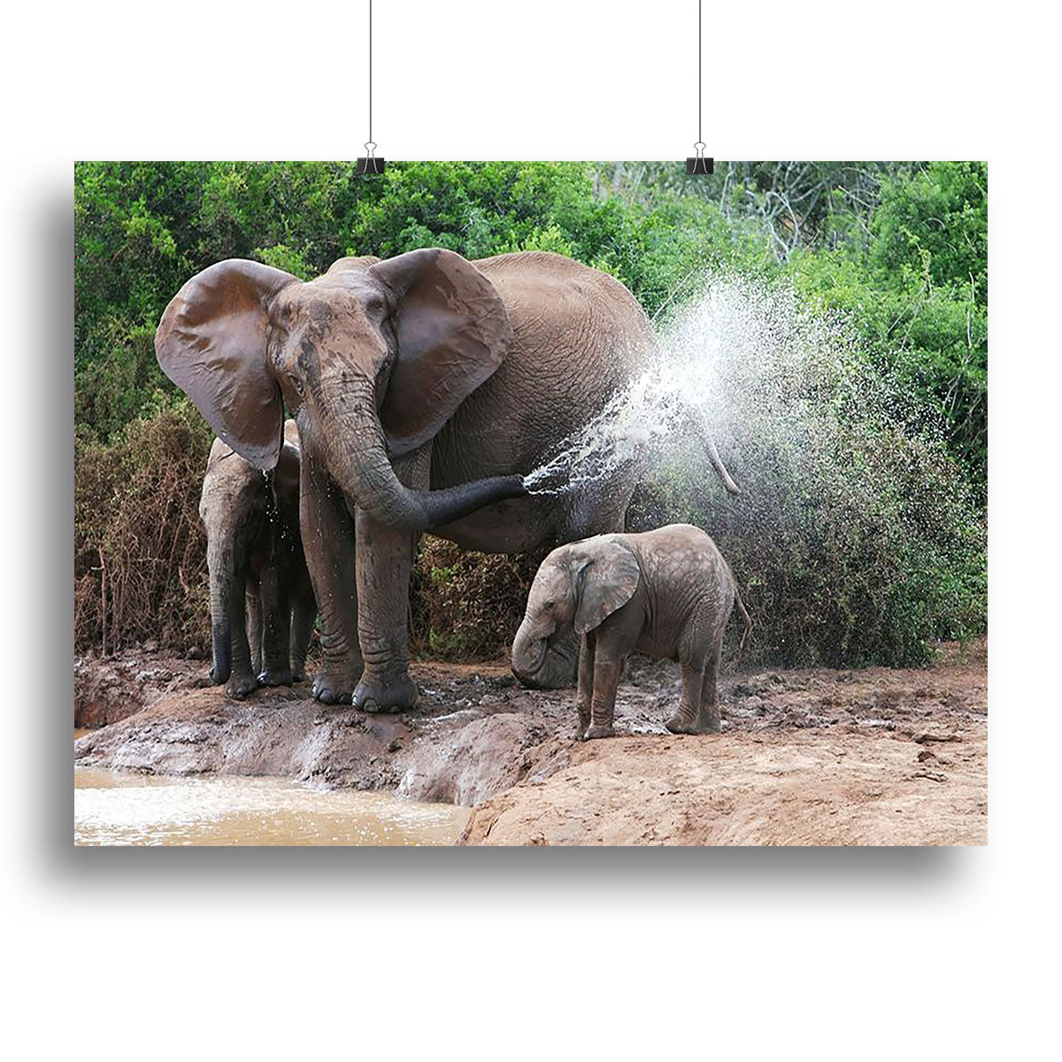 African elephant mother and baby cooling off Canvas Print or Poster Main image