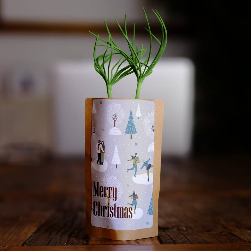 Christmas Trees and Skaters Tree Gift Main image