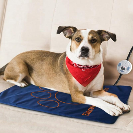 45×60cm Pet Electric Heating Pad Blanket Pet Dog Cat Winter Warmer Pad