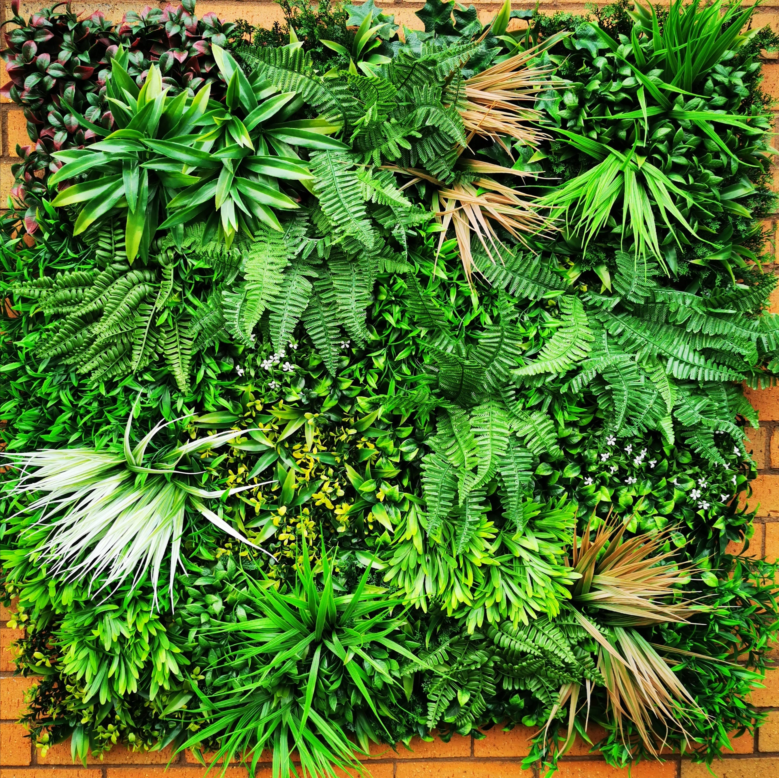Artificial Deluxe Green Wall 100x100cm Main image