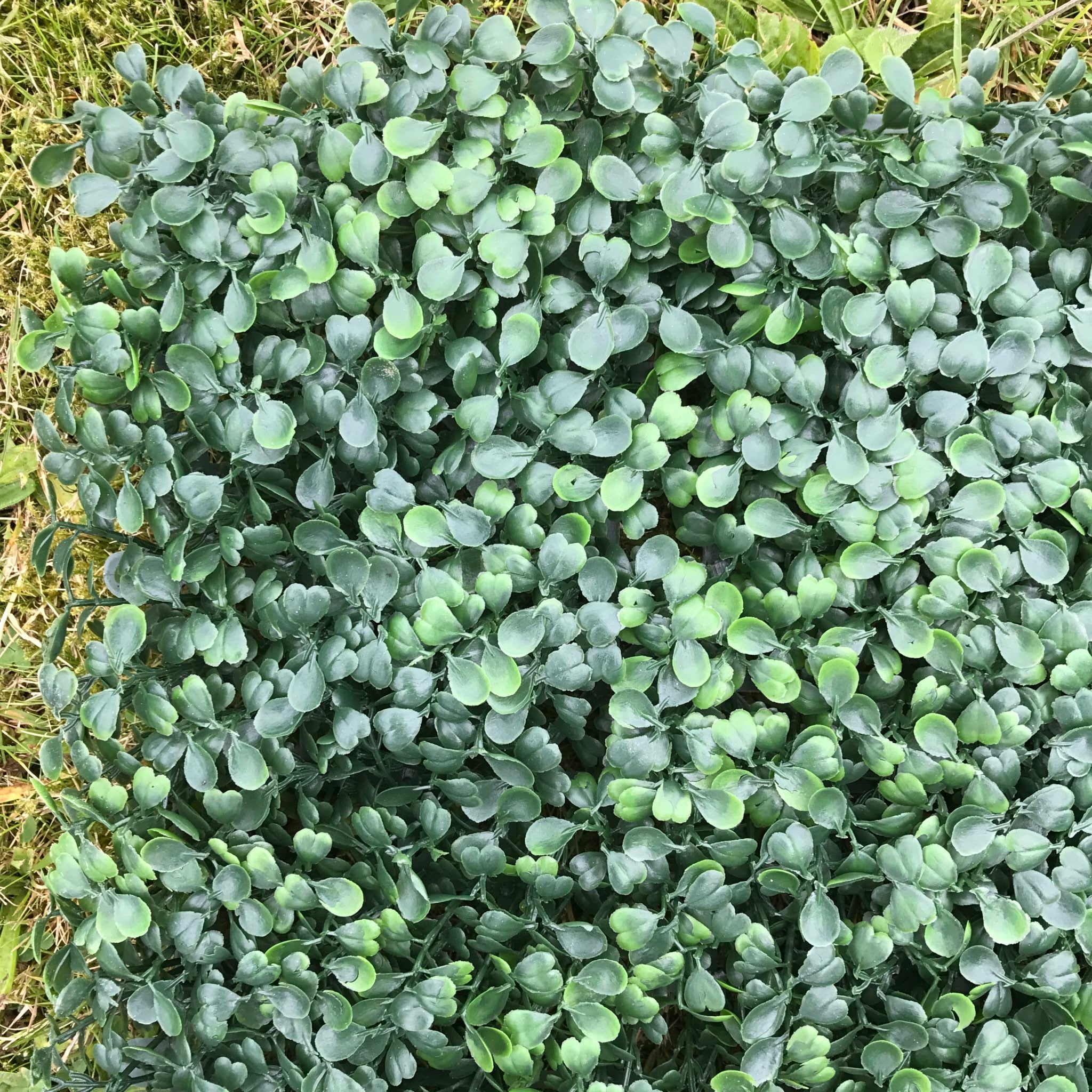 Artificial Flame Resistant Boxwood Hedging Panel 50x50cm Secondary image