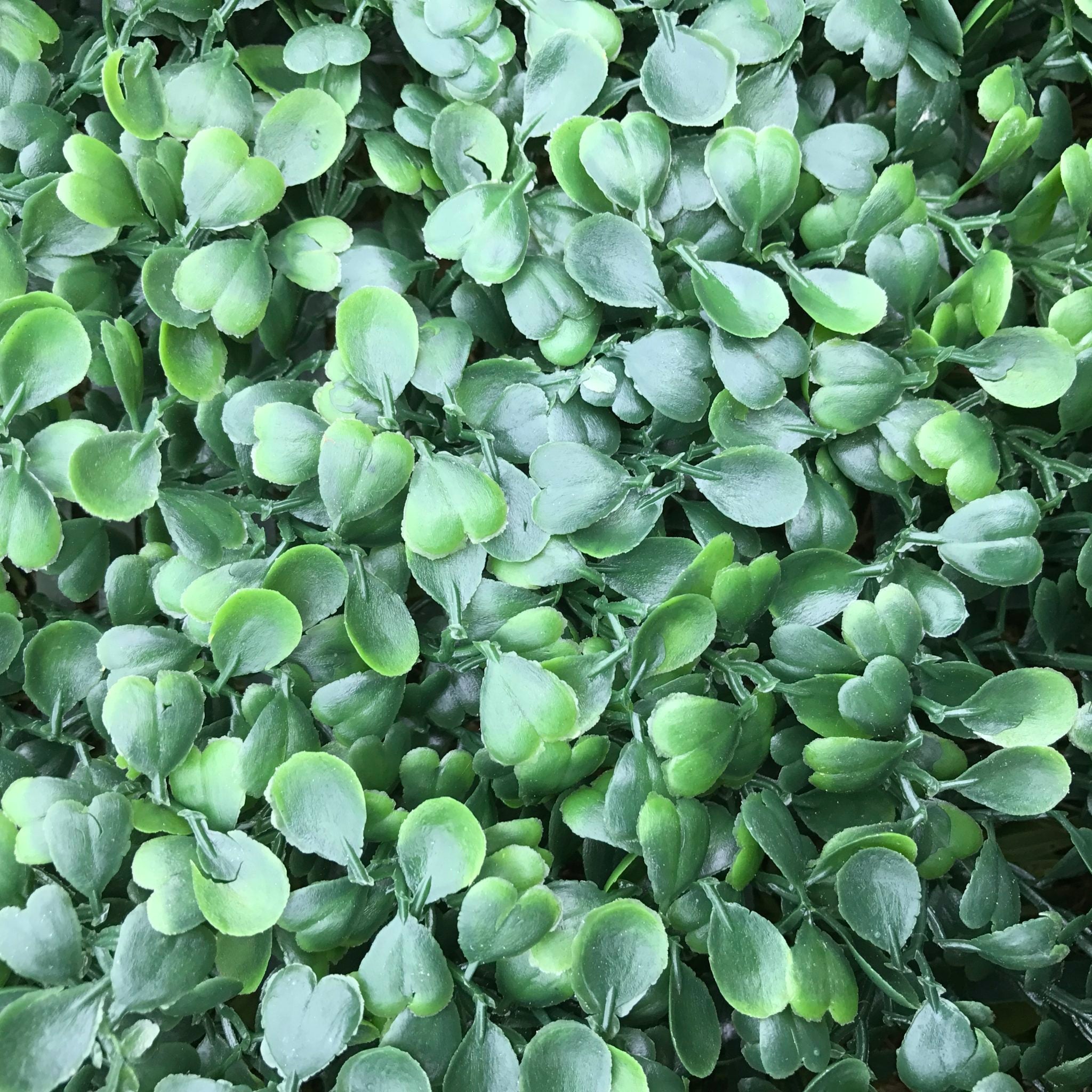 Artificial Flame Resistant Boxwood Hedging Panel 50x50cm Main image