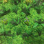 Flame Resistant Artificial Green Wall Hedge Panel 100 x 100cm