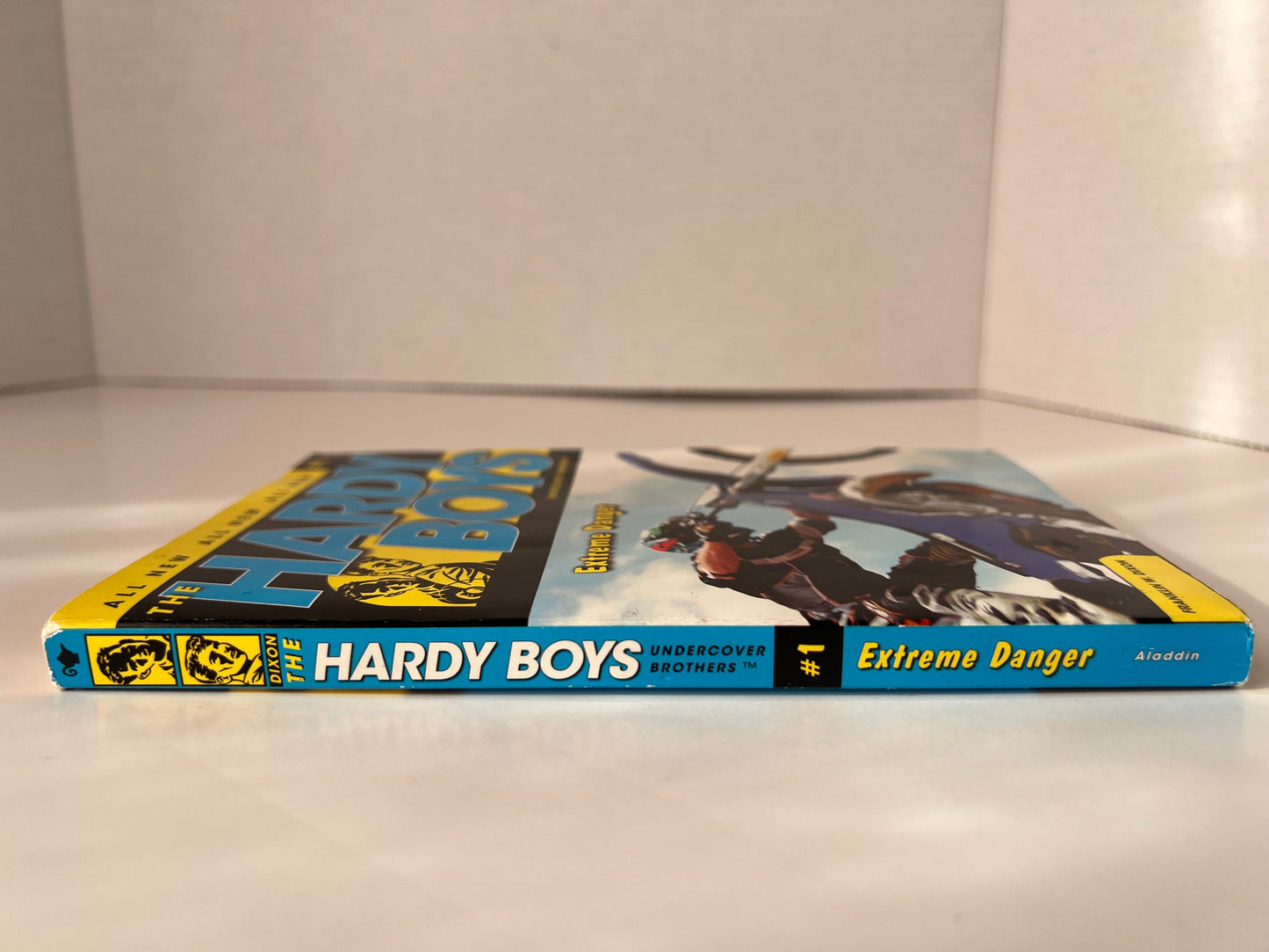 Extreme Danger Hardy Boys: Undercover Brothers, No. 1 by Franklin W.