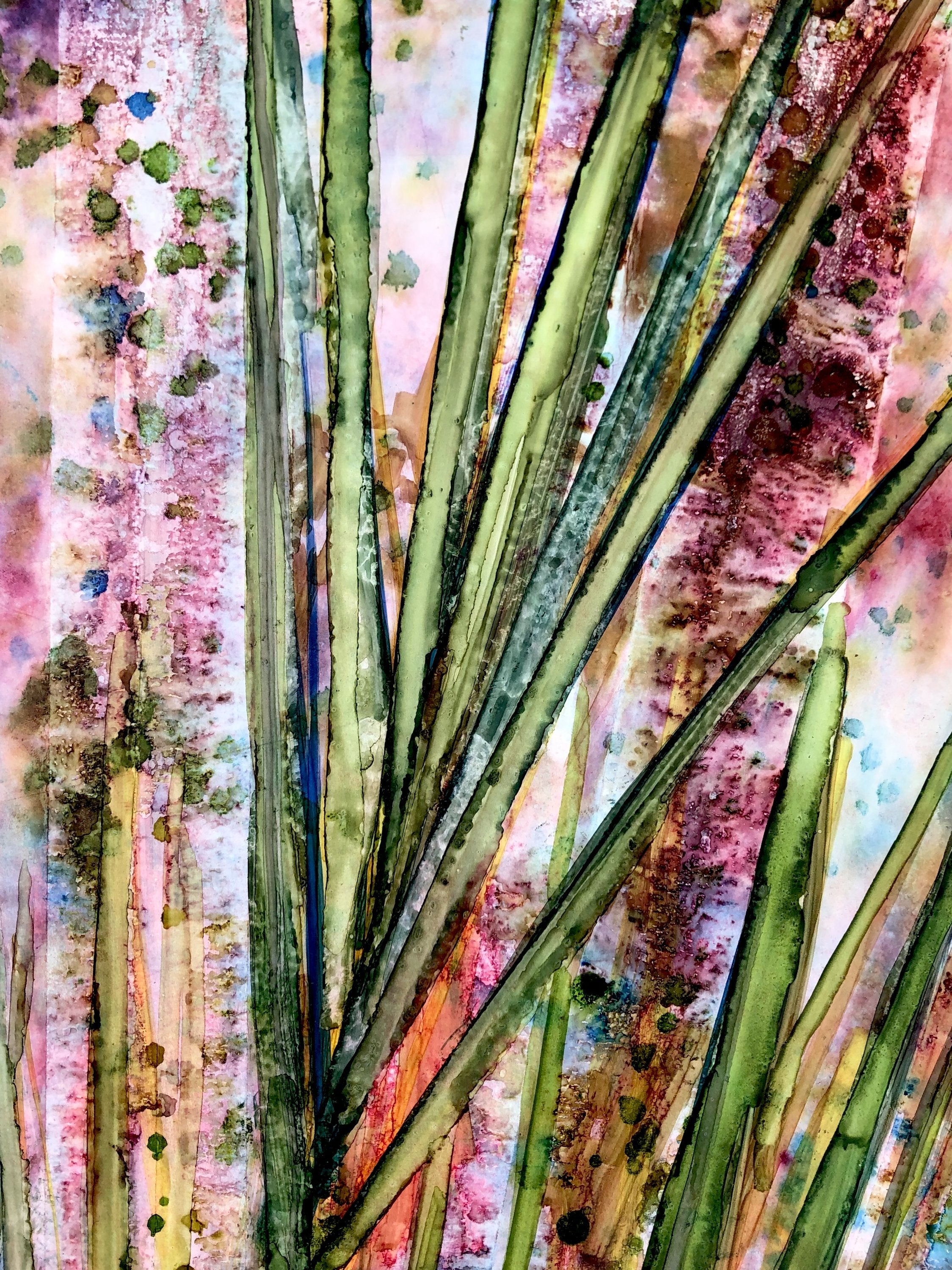 Saw Palmettos : Prints Secondary image