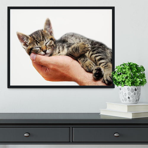 Little baby cat sleeping in male arms Framed Print