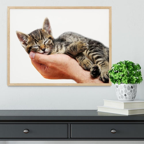 Little baby cat sleeping in male arms Framed Print