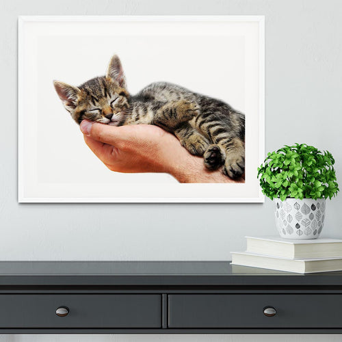 Little baby cat sleeping in male arms Framed Print