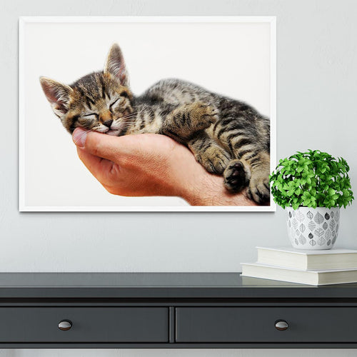 Little baby cat sleeping in male arms Framed Print