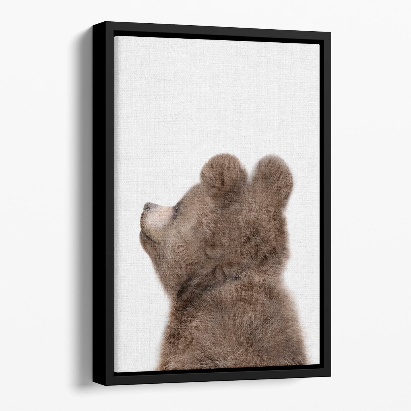 Peekaboo Baby Bear Back Floating Framed Canvas