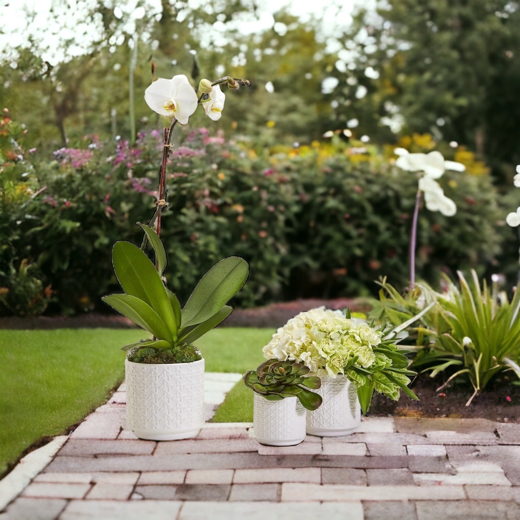 Webbing Planters
