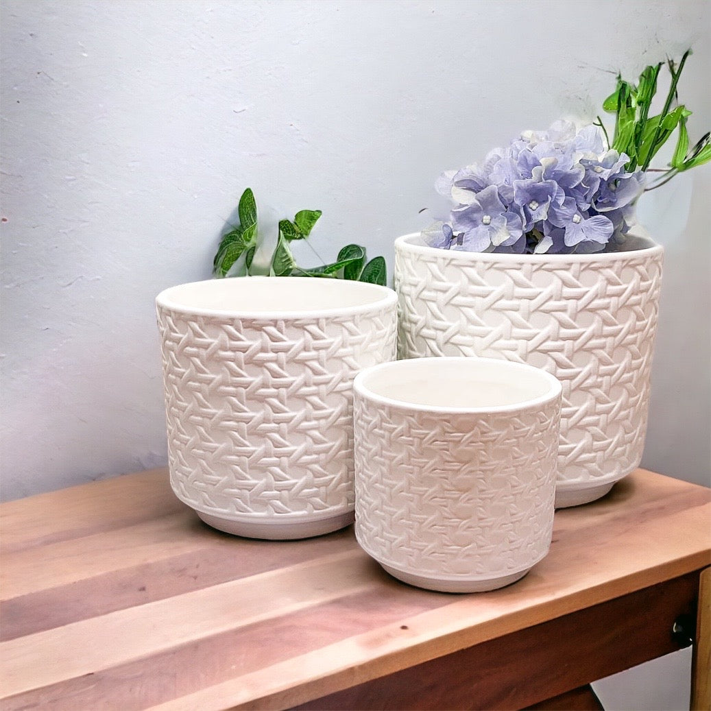 Webbing Planters