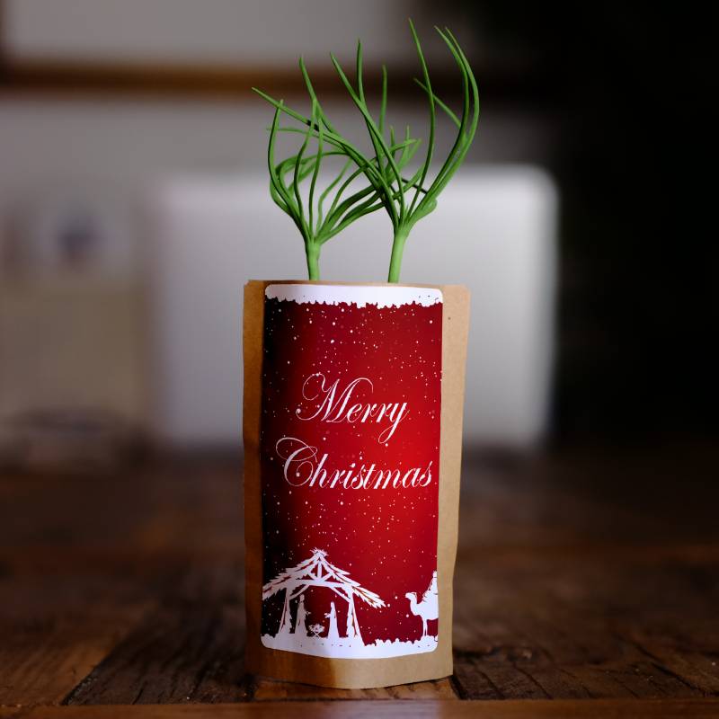 Red Christmas Tree Gift Main image