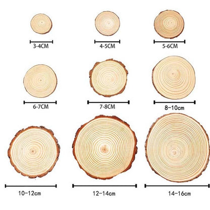 DIY Crafts Natural Pine Wood Slices