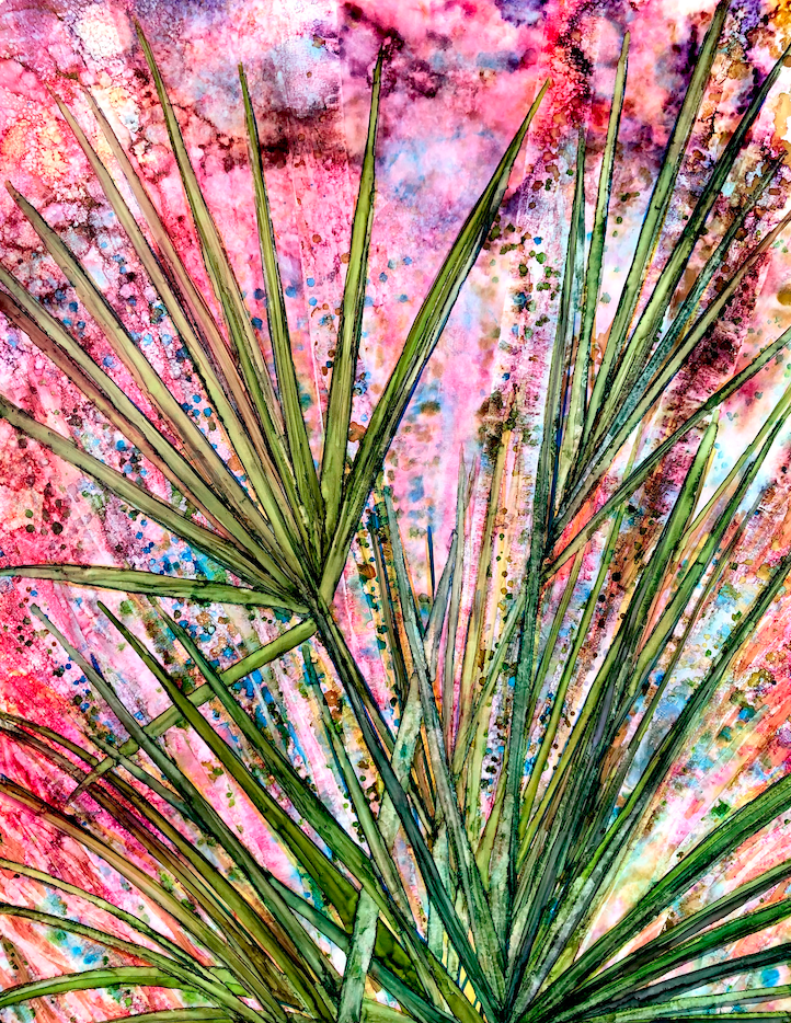 Saw Palmettos : Prints Main image