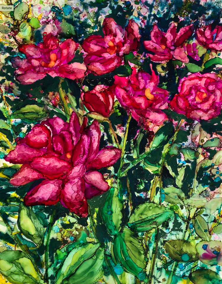 Pink Roses: Prints Main image