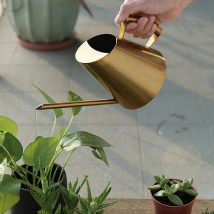 Household Gardening Stainless Steel Long Spout Watering Pot, Size: