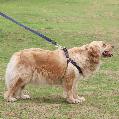 BG-Q1025 Leash+Chest Strap Thickened Strong Denim Pet Dog Leash Set,