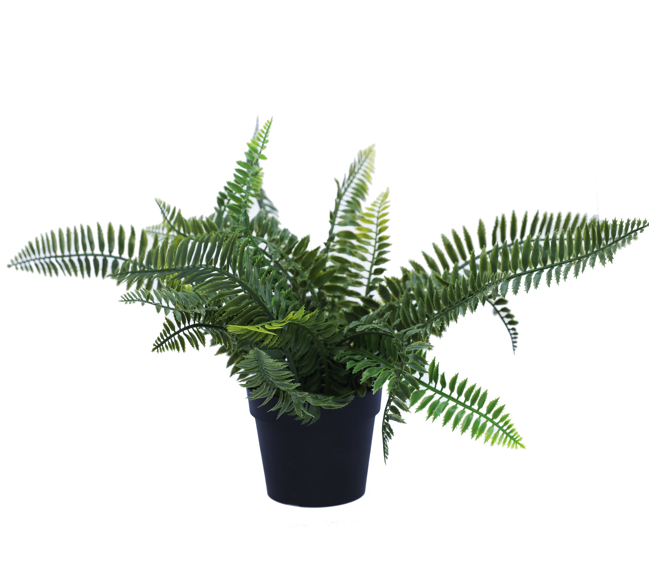 Small Potted Artificial Dark Green Fern Plant UV Resistant 20cm Main image