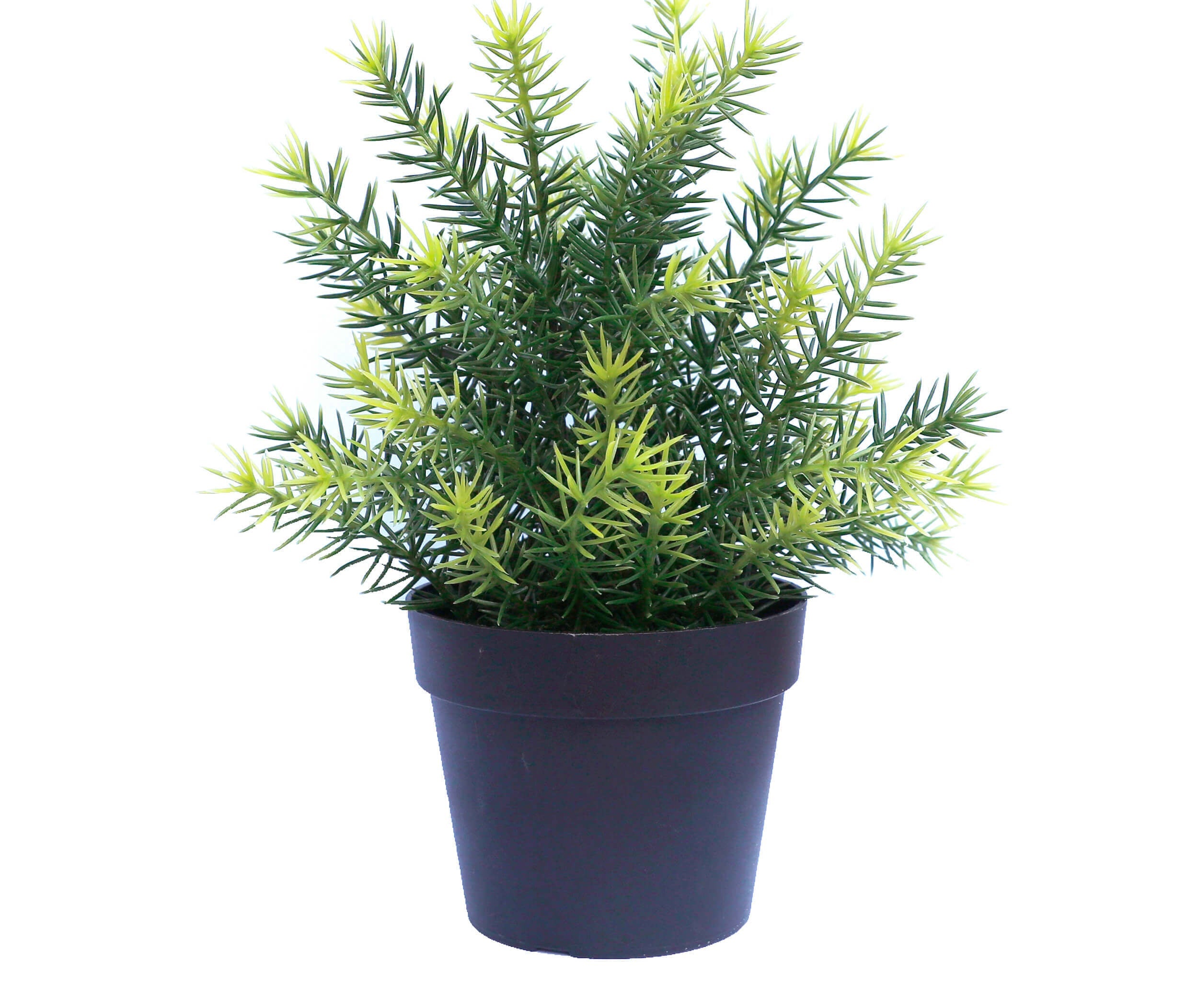 Small Potted Artificial Native Grass Plant UV Resistant 20cm Main image