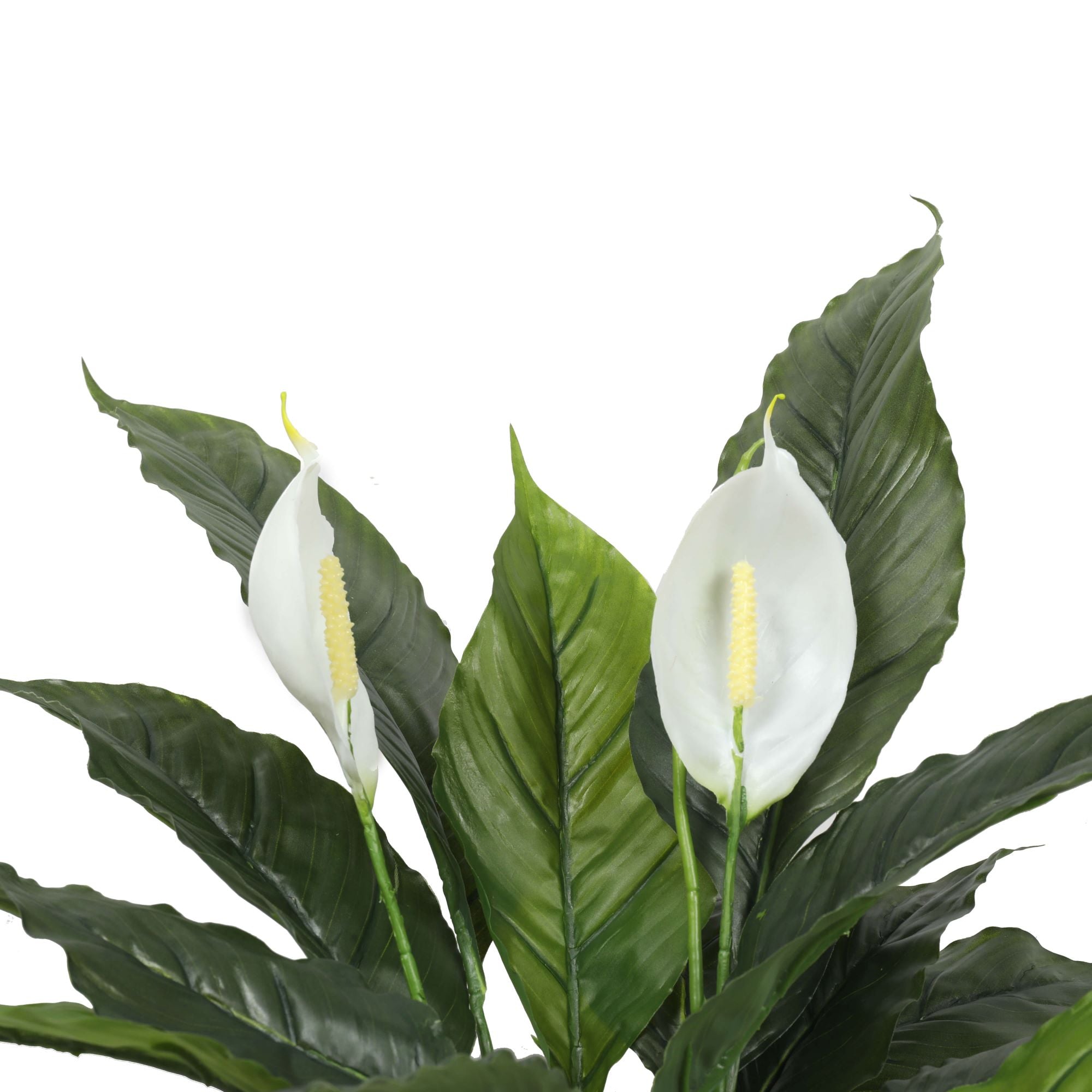 Artificial Spathiphyllum Peace Lily Plant with White Flowers 60cm Secondary image