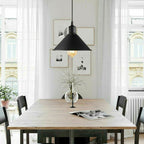 Black Pendant Lamp Industrial style Decorative Ceiling lamp~1542