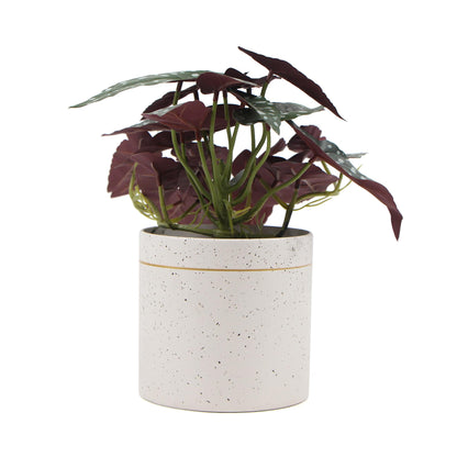 Artificial Begonia Plant In Decorative Bowl 30cm