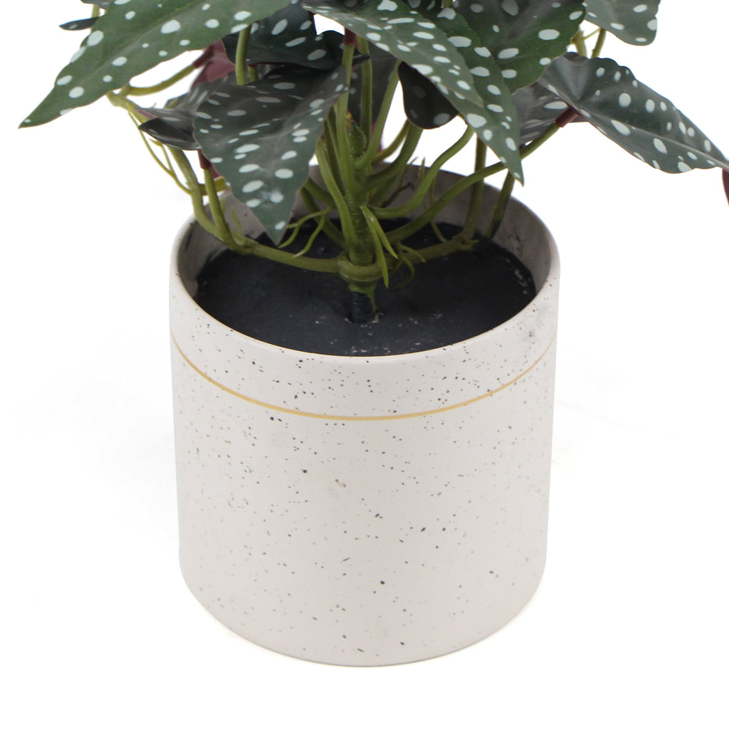 Artificial Begonia Plant In Decorative Bowl 30cm